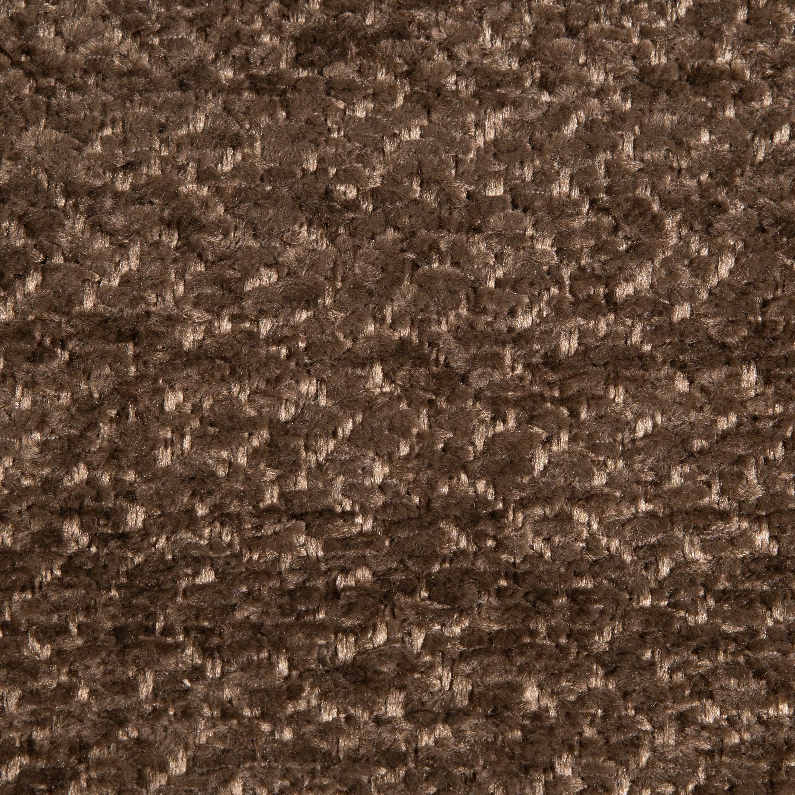 CALVE V-08